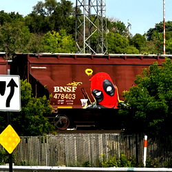 Daddy Knows Best photo