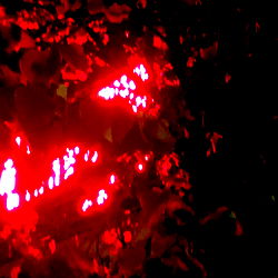 Alover from Marz: A Night of Art and Expression