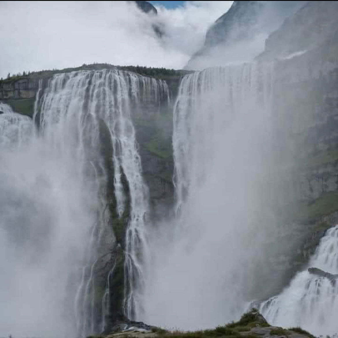 AppleBitez🍎🍏 photo