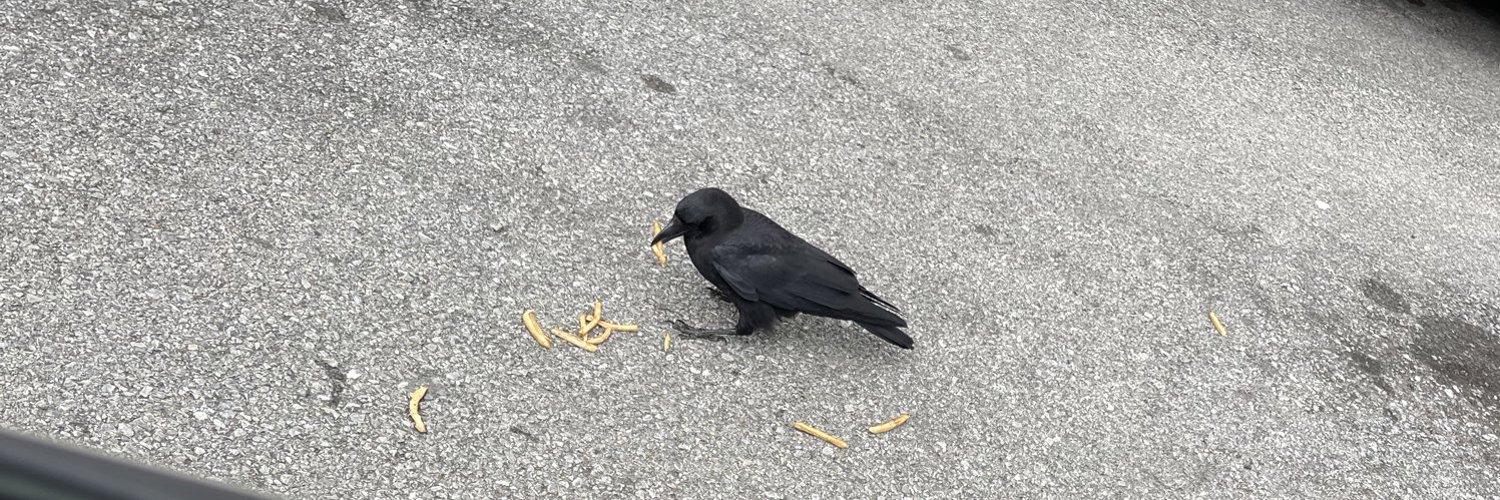 Ms Tattoo Queen photo