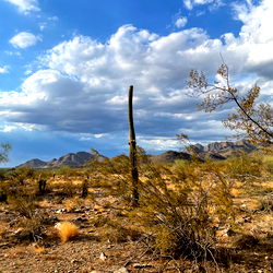 Zoie B (Nude Pics) photo