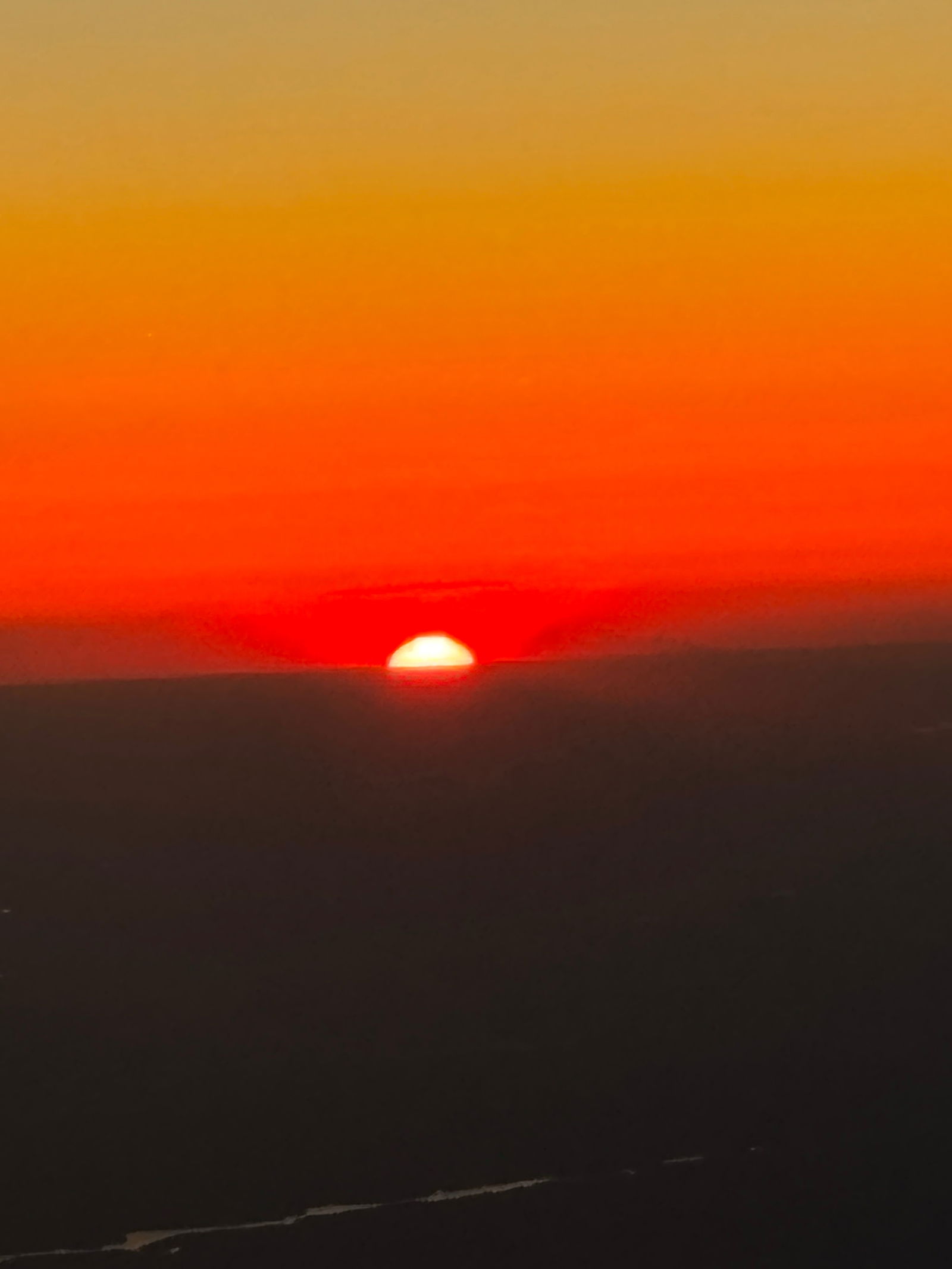 Zoie B (Nude Pics) photo