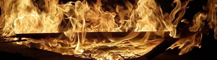 🦇𝓐𝓾𝓻𝓮𝓵𝓲𝓪 𝓑𝓾𝓷𝓷𝔂 🦇 photo