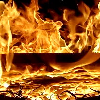 ๐ฆ๐๐พ๐ป๐ฎ๐ต๐ฒ๐ช ๐๐พ๐ท๐ท๐ ๐ฆ photo