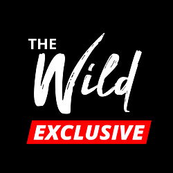 The Wild Exclusive (VIP)