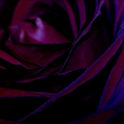 Lillith Morbid photo