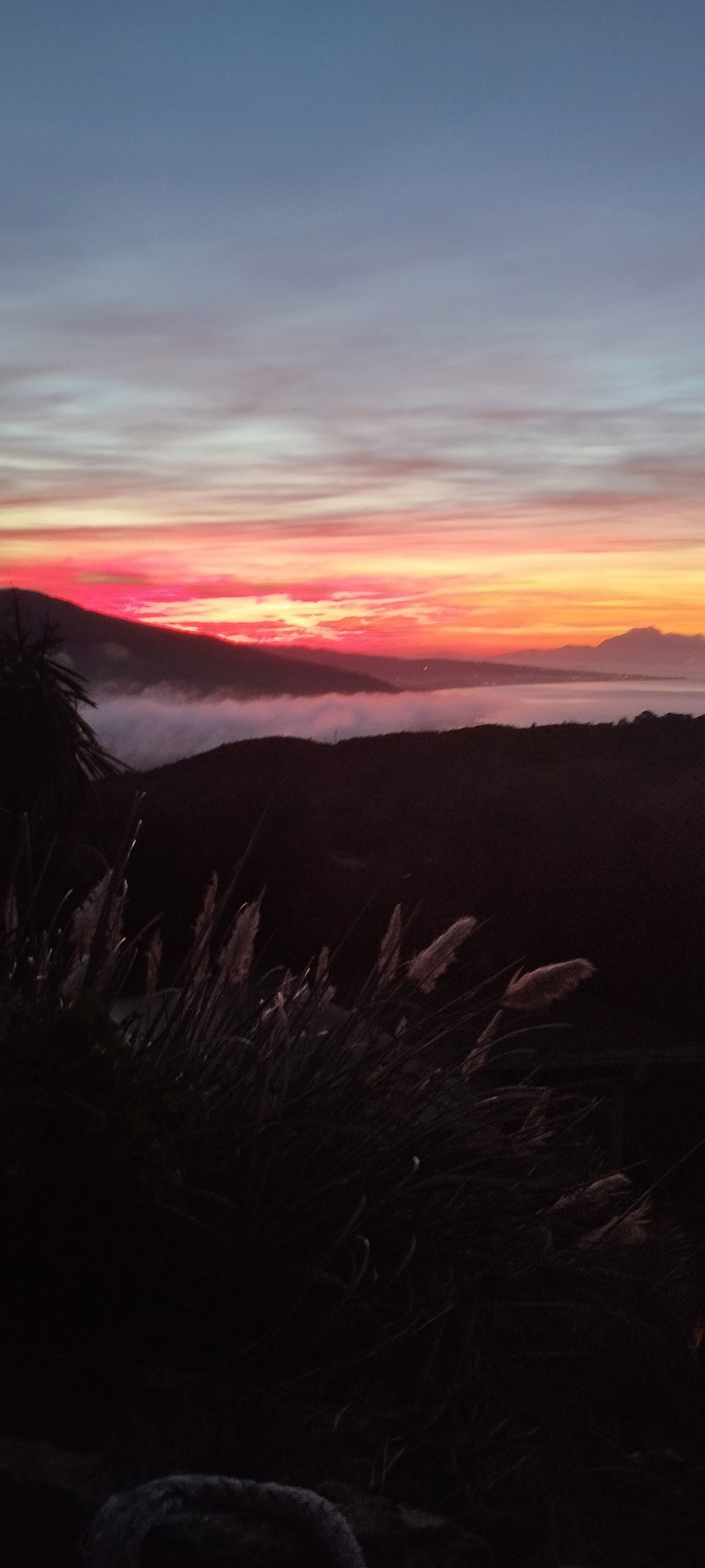 Christo Stelio photo