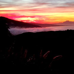 Christo Stelio photo