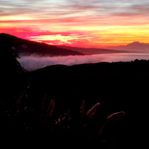 Christo Stelio photo