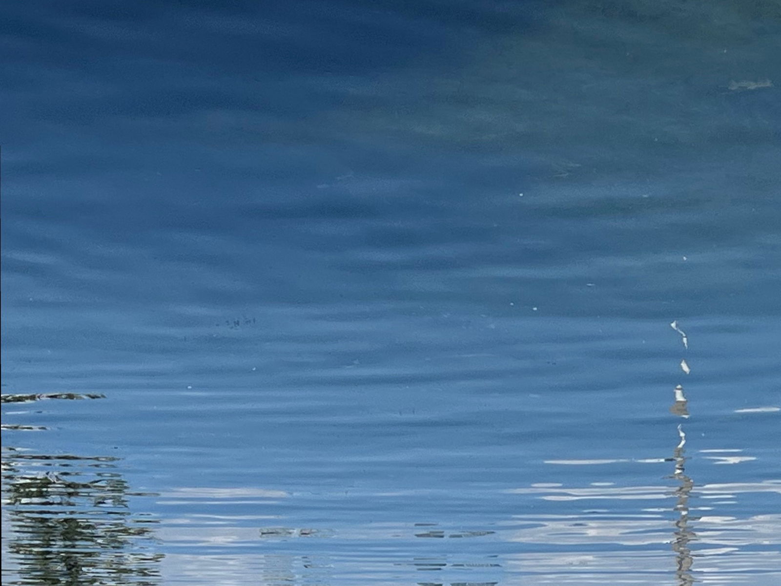 throatbully272free photo