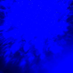 Ashley Lynn: Enchanting Instagram Feed with a Splash of Color