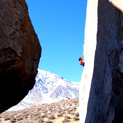 Anna Hazelnutt photo