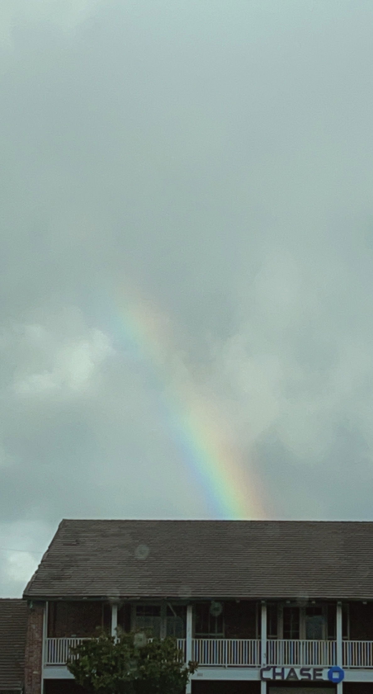 Kinky Bitch Sammy photo