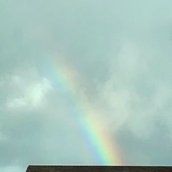 Kinky Bitch Sammy photo