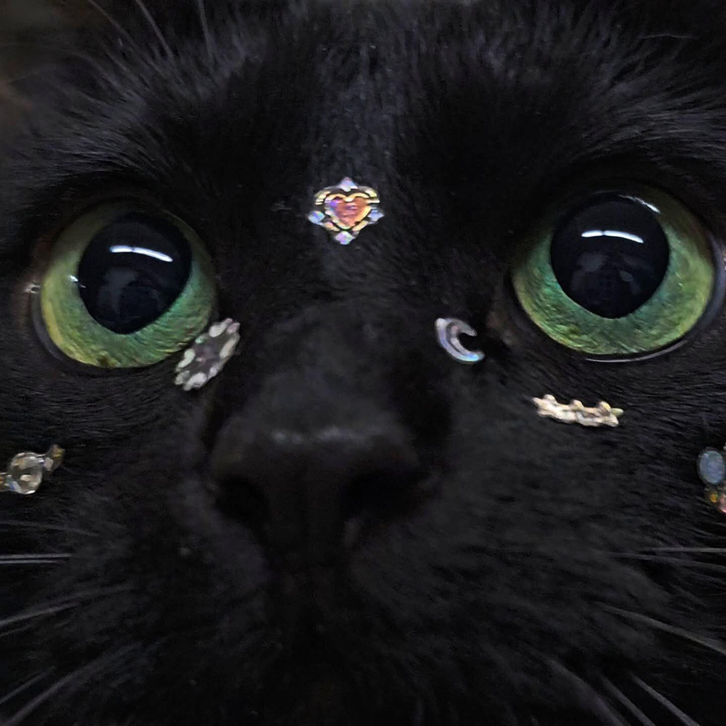 ✨ Layla Moon ✨ photo