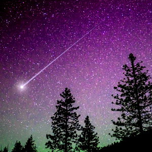 Mister Cox Productions photo