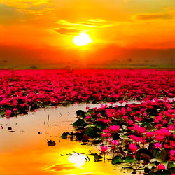 -:¦:- Selena -:¦:- photo