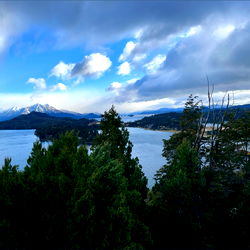 ๐๐๐ ๐ก๐๐๐ ๐ ๐๐๐ฆ ๐ค photo