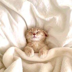 Your Angel 🪽 photo