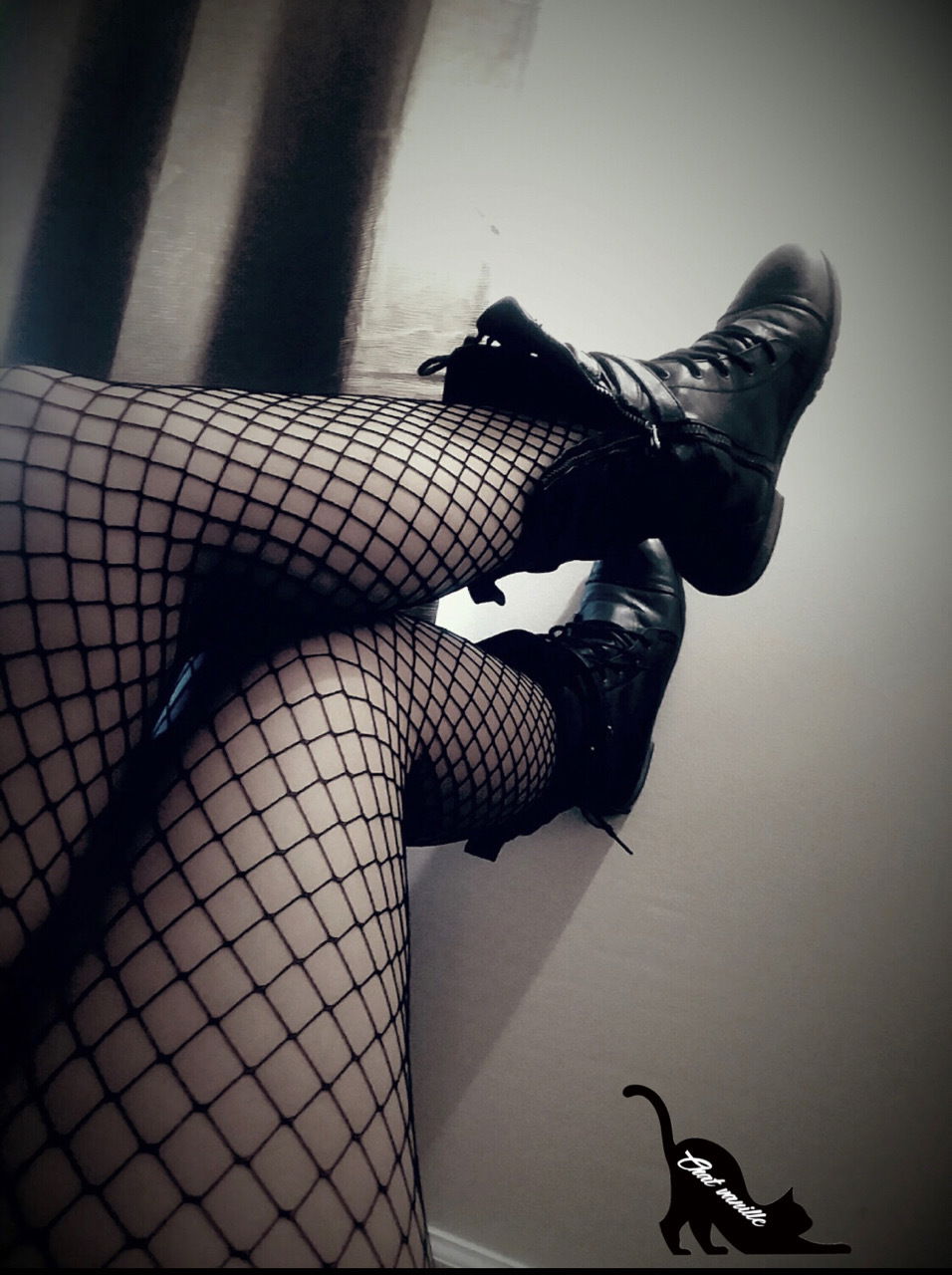 Chat Vanille [Vanilla Cat] photo