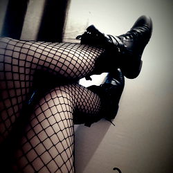 Chat Vanille [Vanilla Cat] photo