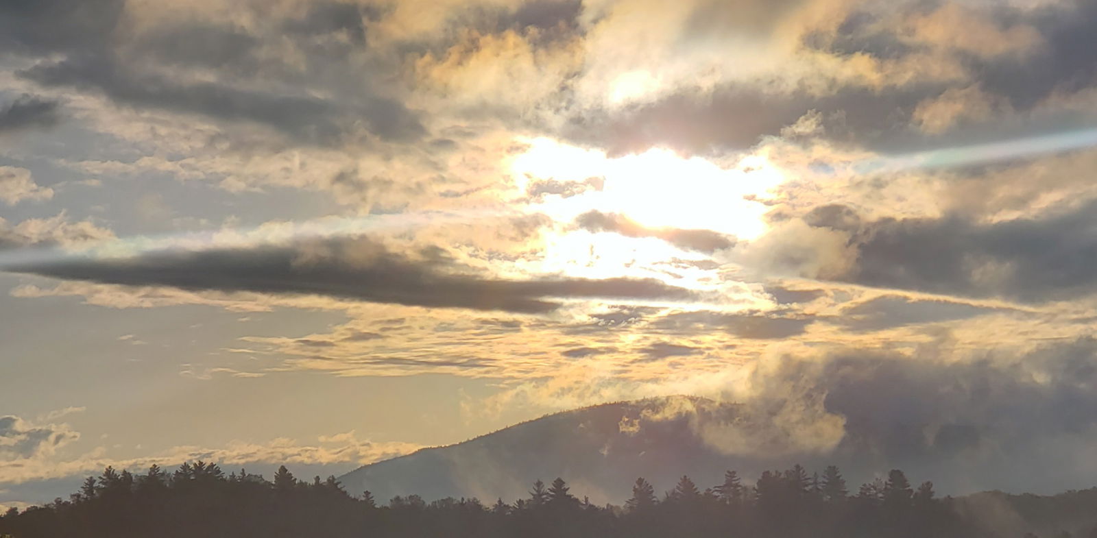 Adirondack Bear photo