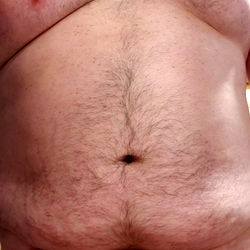 Adirondack Bear's Stomach