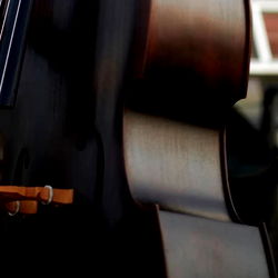 babycakesonbass photo