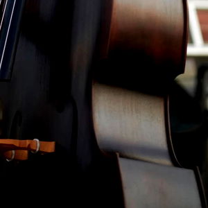 babycakesonbass photo