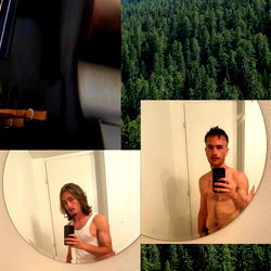 An Epic Journey Through the Forest