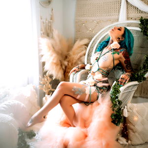 Tetra Tormenta photo