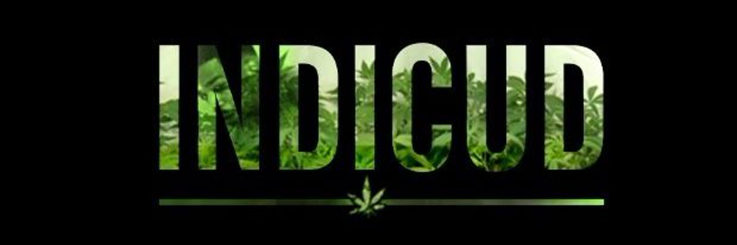 Sîpichkochaps photo