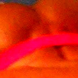 AfrkNinjAdonis photo