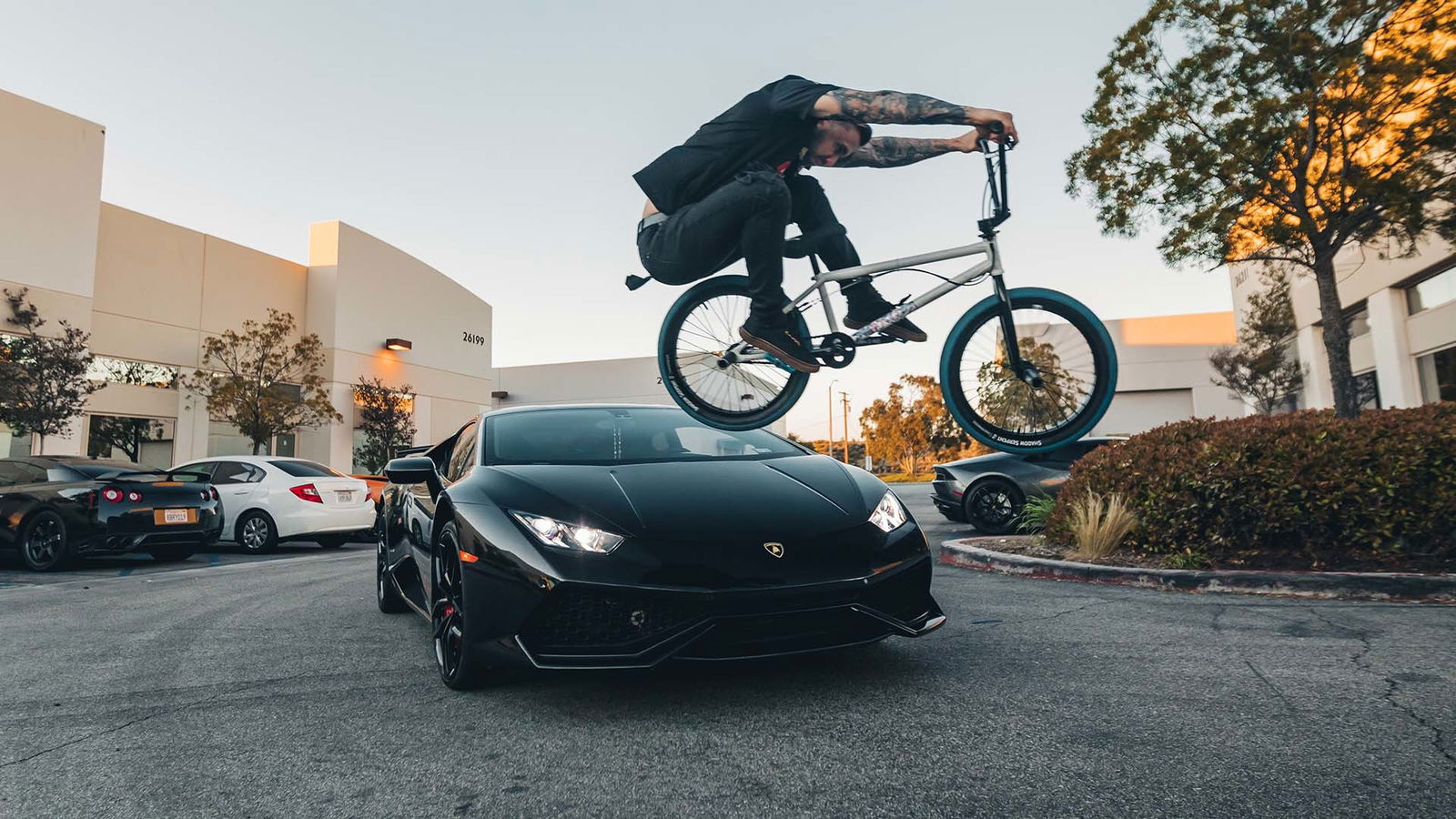 Alfredo Mancuso photo