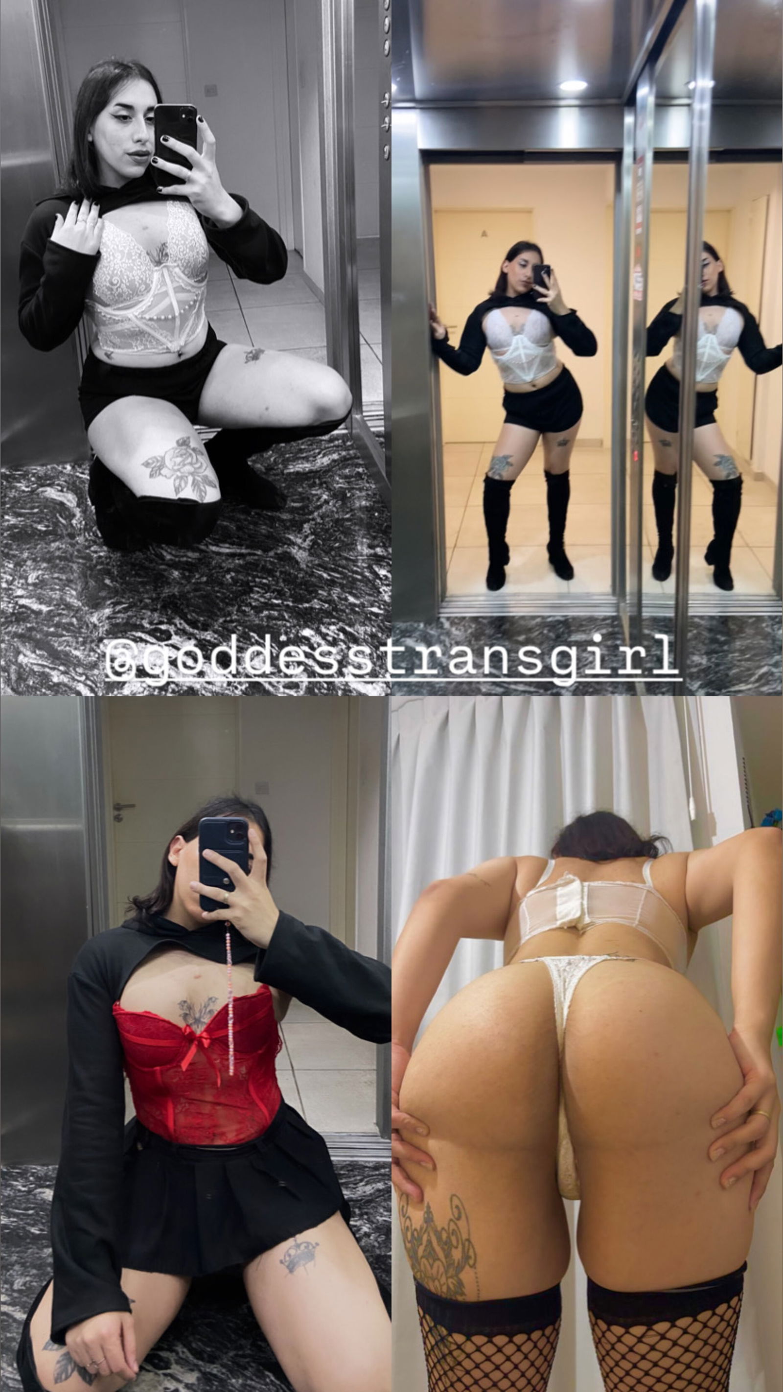 Goddess Trans Arly 💋 photo