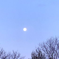 Peaceful Sunset on the Winter River