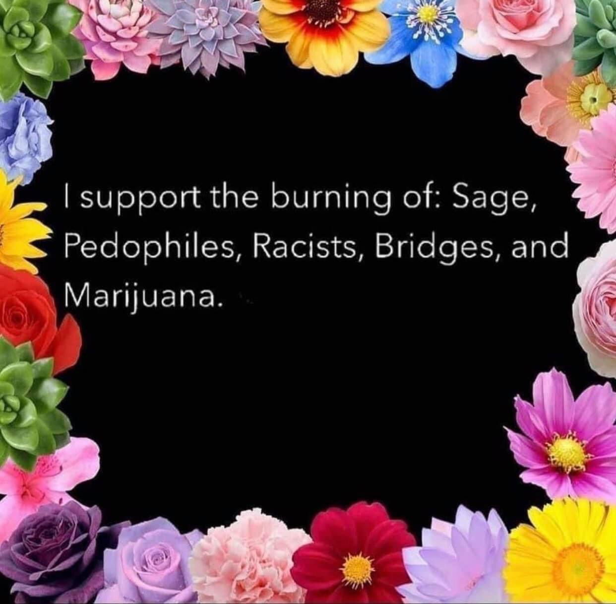 Michelle carfino photo