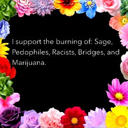 Michelle carfino photo