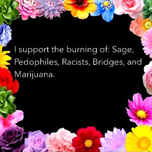 Michelle carfino photo