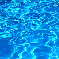 The Pool Boy - Blue Water Paradise