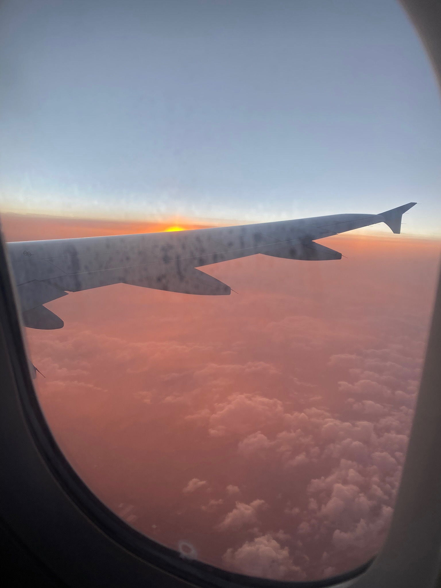 Acacia Tourtelotte photo