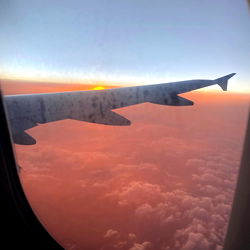 Acacia Tourtelotte photo