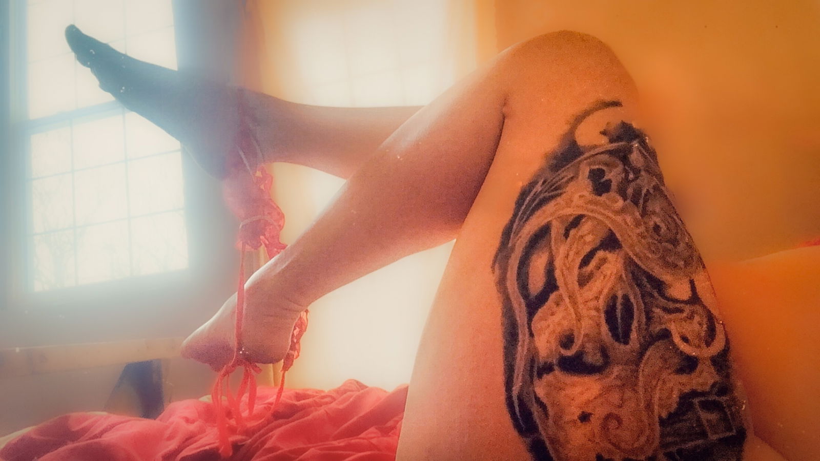 Nikky Swallows photo