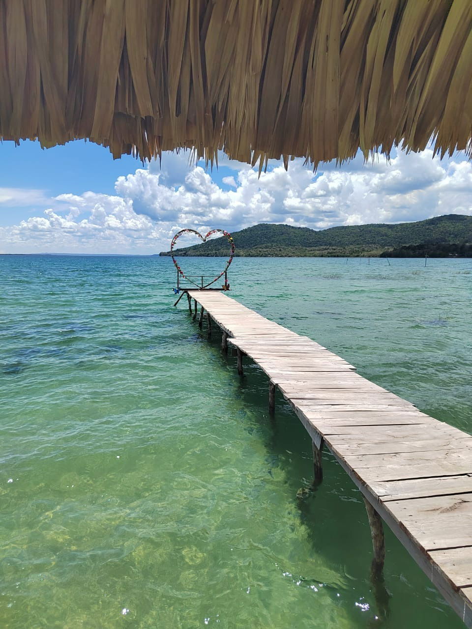 Polemical Alexa photo