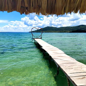 Polemical Alexa photo