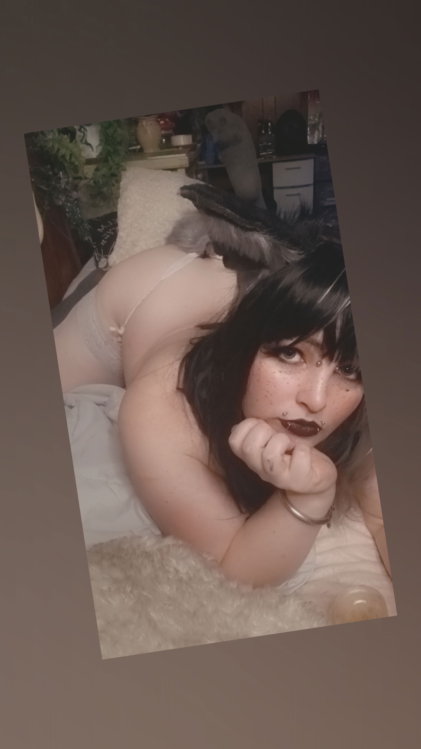 Salem Indigo Nix photo