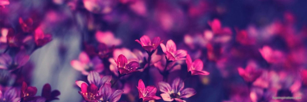 Natalie Page 💋 photo