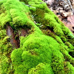 RinaKitty๐ฑNO PPVS๐ฑFULL VIDS EVERY WEEK photo