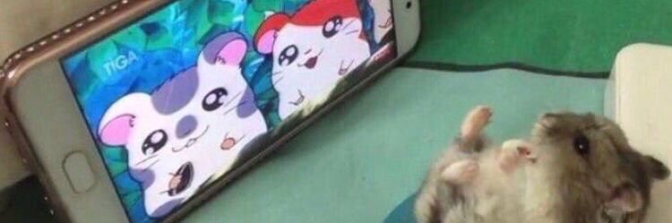 William De Souza photo