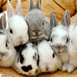 *・゜・*:.。.*.。.:*・☆・゜ photo